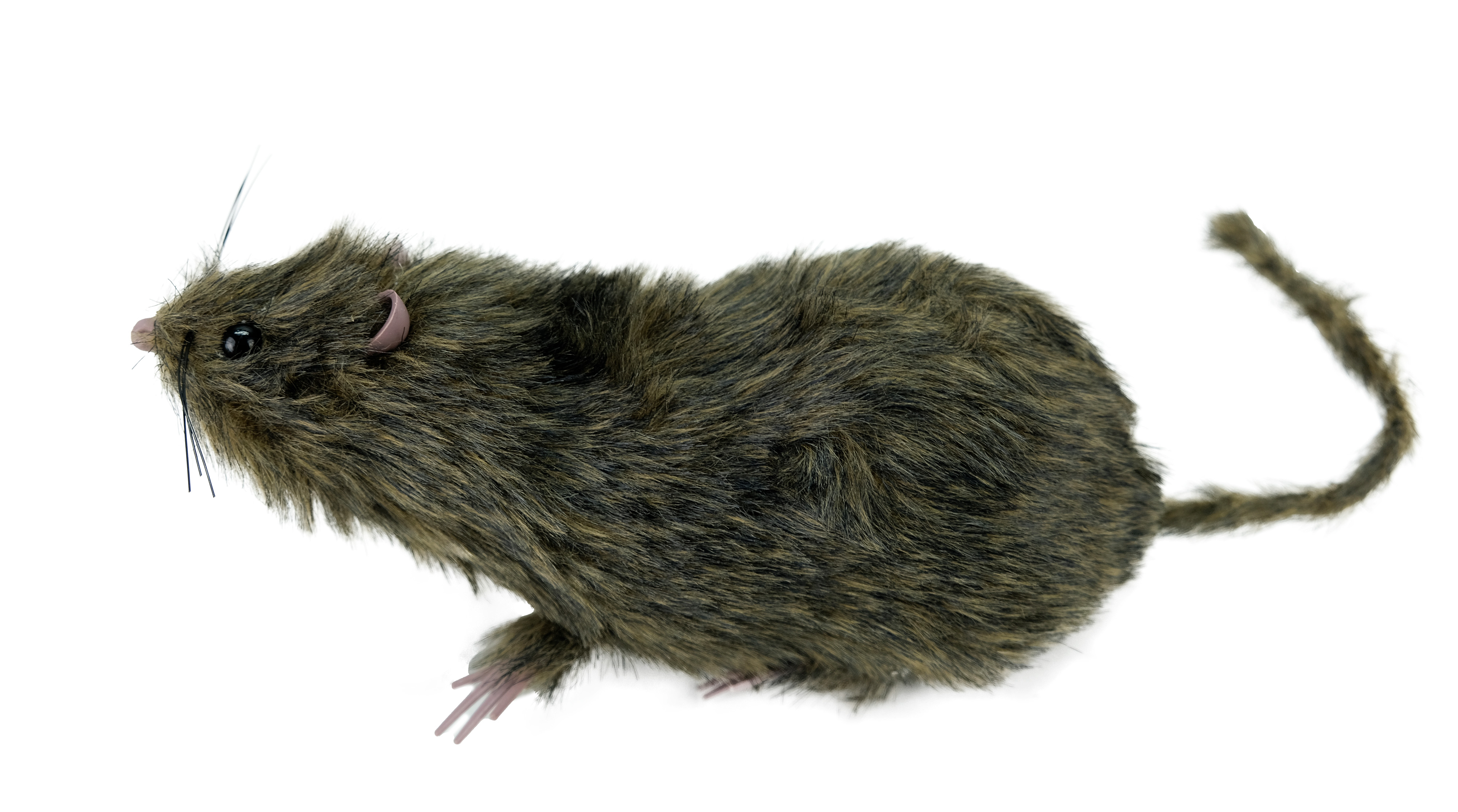 Halloween Dekoration "Ratte mit Fell", 20 cm